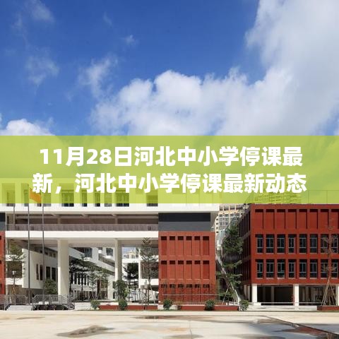 河北中小學停課最新動態(tài)，11月28日的深刻印記