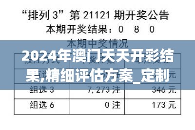 2024年澳門天天開(kāi)彩結(jié)果,精細(xì)評(píng)估方案_定制版QRM13.2