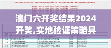 澳門六開獎結(jié)果2024開獎,實地驗證策略具體_理想版MKJ13.80