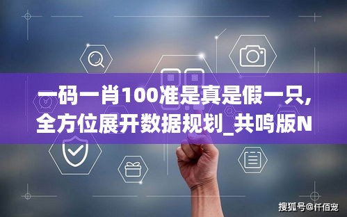 一碼一肖100準(zhǔn)是真是假一只,全方位展開(kāi)數(shù)據(jù)規(guī)劃_共鳴版NNE13.77