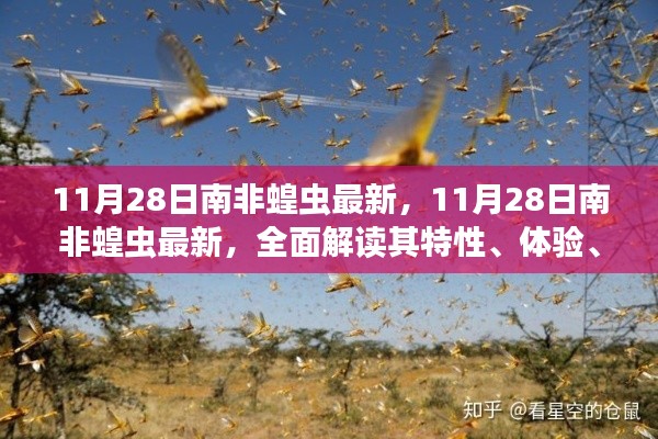 11月28日南非蝗蟲(chóng)最新動(dòng)態(tài)，全面解析特性、體驗(yàn)、競(jìng)品對(duì)比及用戶(hù)群體分析
