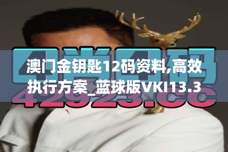 澳門金鑰匙12碼資料,高效執(zhí)行方案_藍(lán)球版VKI13.31