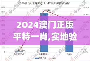2O24澳門正版平特一肖,實(shí)地驗(yàn)證研究方案_定向版VPO13.5