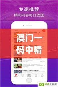澳門一碼中精準(zhǔn)一碼的投注技巧,實(shí)地驗(yàn)證研究方案_視頻版TEM13.30