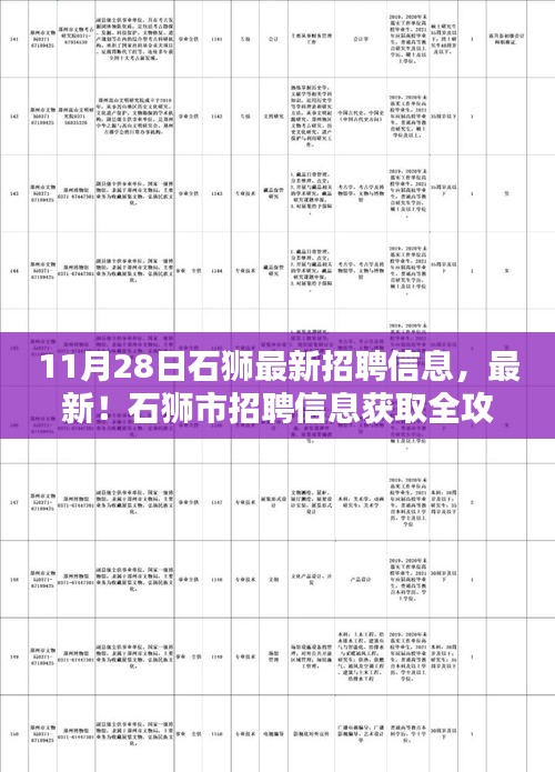 石獅市最新招聘信息全攻略，初學(xué)者與進(jìn)階用戶適用的獲取渠道（11月28日更新）