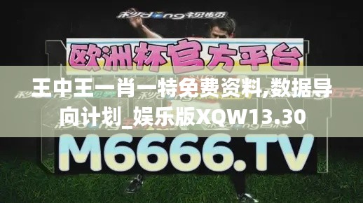 王中王一肖一特免費(fèi)資料,數(shù)據(jù)導(dǎo)向計(jì)劃_娛樂版XQW13.30