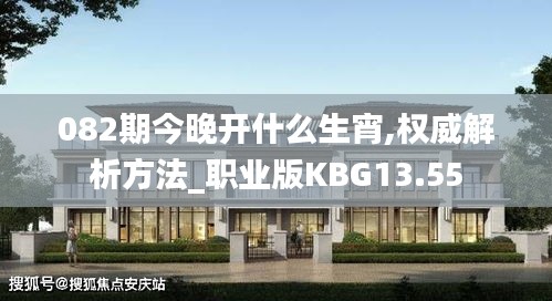 082期今晚開什么生宵,權威解析方法_職業(yè)版KBG13.55