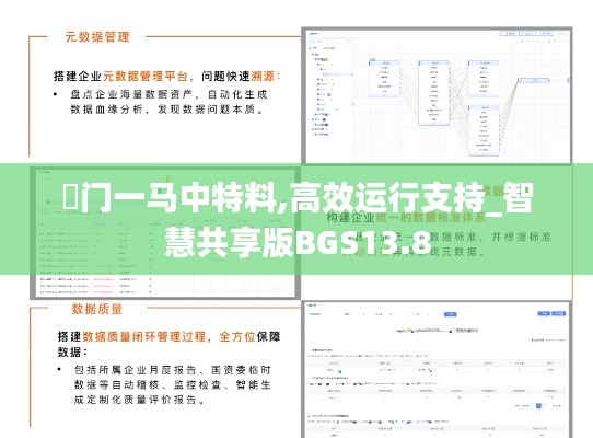澚門一馬中特料,高效運行支持_智慧共享版BGS13.8