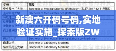 新澳六開碼號碼,實地驗證實施_探索版ZWO13.95
