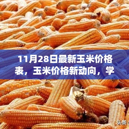 最新玉米價(jià)格動(dòng)態(tài)，學(xué)習(xí)變化的力量，自信成就夢(mèng)想