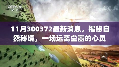 揭秘自然秘境，啟程一場遠離塵囂的心靈之旅的最新消息