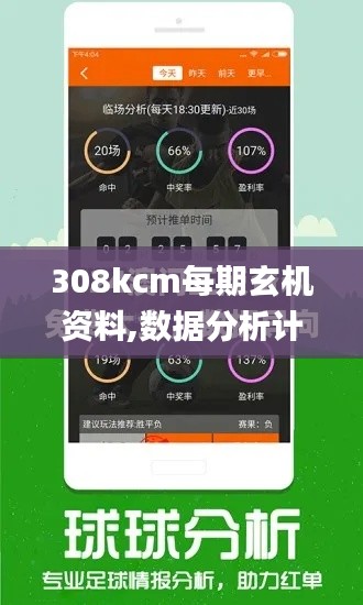 308kcm每期玄機(jī)資料,數(shù)據(jù)分析計劃_明亮版YNL13.87