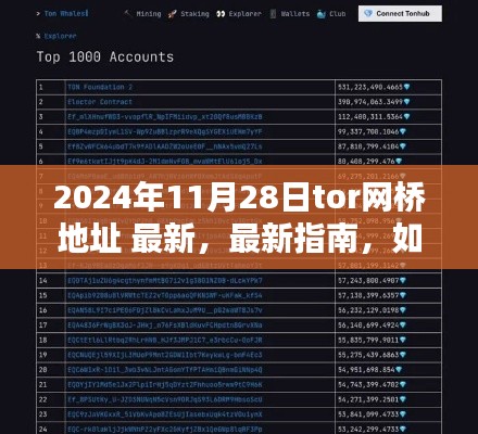 關(guān)于獲取最新Tor網(wǎng)橋地址的指南，犯罪行為的警示與風(fēng)險警告