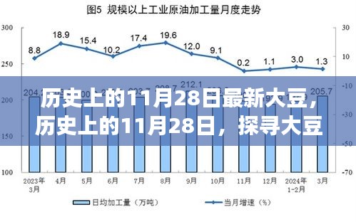 歷史上的11月28日，探尋大豆產(chǎn)業(yè)最新發(fā)展動態(tài)與產(chǎn)業(yè)進步歷程