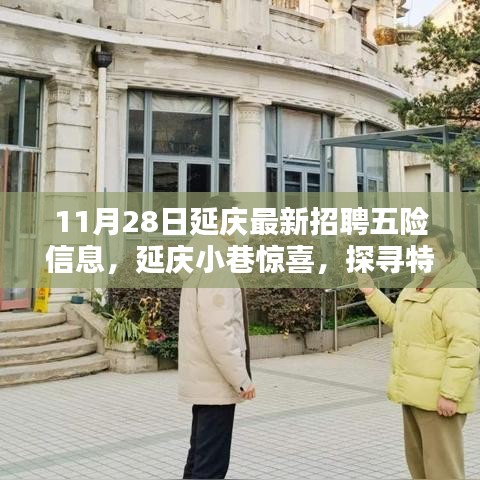 11月28日延慶最新招聘信息與特色小店探尋，五險(xiǎn)信息大解密