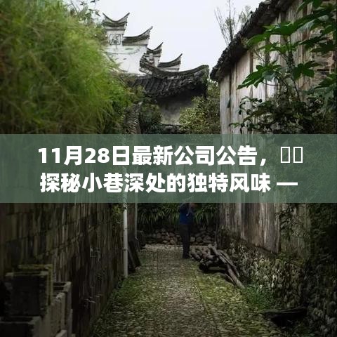探秘小巷深處的獨特風(fēng)味，公司最新公告帶你走進(jìn)隱藏的美食寶藏店揭秘時刻
