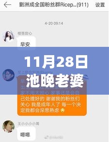11月28日池晚與老婆復婚話題熱門章節(jié)解讀及情感案例分析
