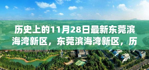 東莞濱海灣新區(qū)，歷史與未來的交匯點，探尋小巷獨特風(fēng)味當(dāng)日記實