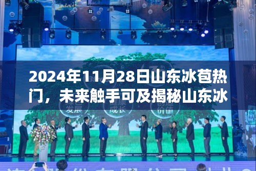 揭秘山東冰苞熱門高科技產(chǎn)品，科技之光照亮生活新篇章（2024年展望）