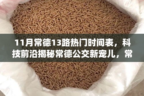 常德公交新寵兒揭秘，智能出行時代下的常德公交13路時刻表與智慧出行體驗