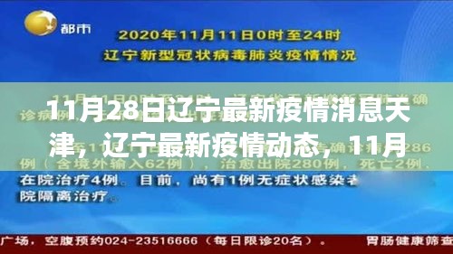 遼寧與天津抗疫進(jìn)展更新，11月28日最新疫情消息與動態(tài)