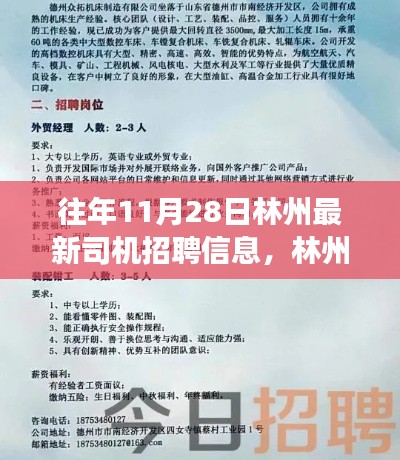林州最新司機招聘動態(tài)，行業(yè)趨勢深度解讀與多方觀點匯集