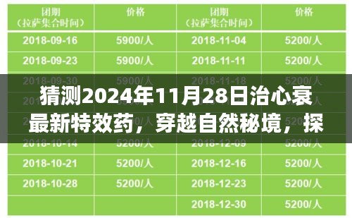 探尋未來奇跡，穿越自然秘境，揭秘心衰特效藥的心靈之旅（預(yù)計于2024年11月揭曉）