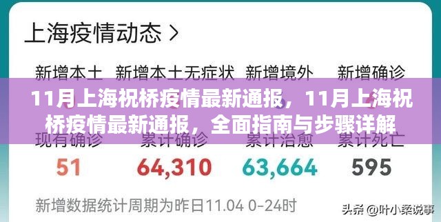 上海祝橋疫情最新通報(bào)，全面指南與詳細(xì)步驟解讀（11月版）