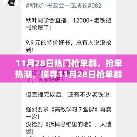 探尋搶單熱潮背后的故事，揭秘11月28日搶單群影響力與故事