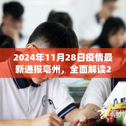 2024年11月28日亳州疫情最新通報(bào)全面解讀，特性、體驗(yàn)、競(jìng)品對(duì)比及用戶分析