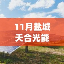 鹽城天合光能熱門招聘應(yīng)聘全攻略，從入門到成功應(yīng)聘的每一步解析
