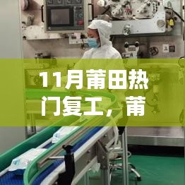 莆田11月復(fù)工潮，探尋復(fù)蘇之路的嶄新篇章