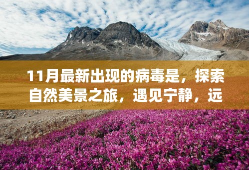 11月病毒來(lái)襲之際，自然美景之旅，尋找心靈寧?kù)o的避風(fēng)港