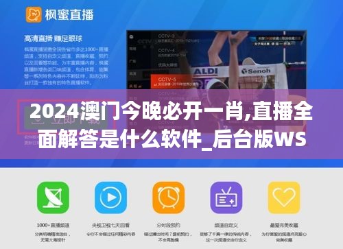 真獨(dú)簡貴 第5頁