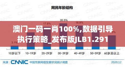 澳門一碼一肖100%,數(shù)據(jù)引導執(zhí)行策略_發(fā)布版JLB1.291