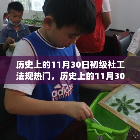歷史上的11月30日，初級(jí)社工法規(guī)的熱門演變及其深遠(yuǎn)影響