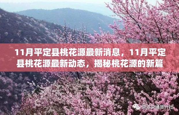 揭秘，11月平定縣桃花源最新動態(tài)與進展新篇章