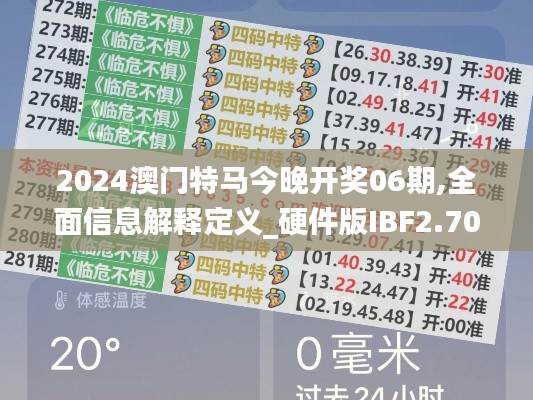 2024澳門特馬今晚開(kāi)獎(jiǎng)06期,全面信息解釋定義_硬件版IBF2.704