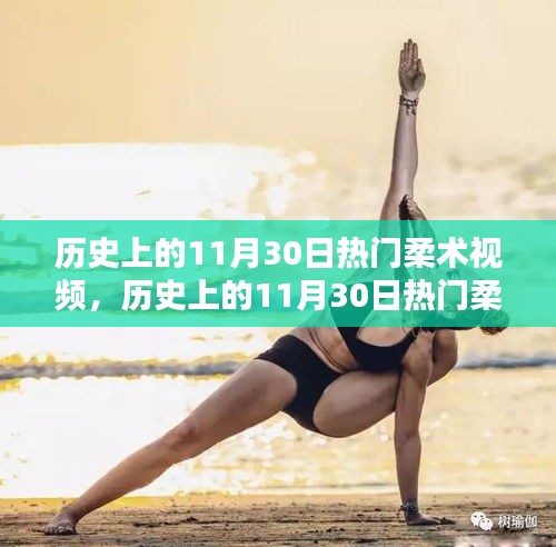 歷史上的柔術(shù)視頻回顧，熱門柔術(shù)視頻深度評(píng)測(cè)與介紹（11月30日篇）