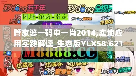 管家婆一碼中一肖2014,實地應(yīng)用實踐解讀_生態(tài)版YLX58.621