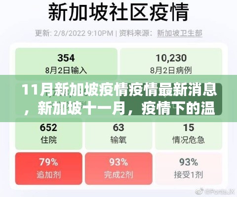 新加坡十一月疫情下的溫馨日常與友情力量，最新疫情消息