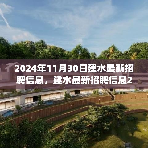 建水最新招聘信息概覽，2024年11月30日更新