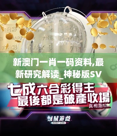 新澳門一肖一碼資料,最新研究解讀_神秘版SVZ20.146