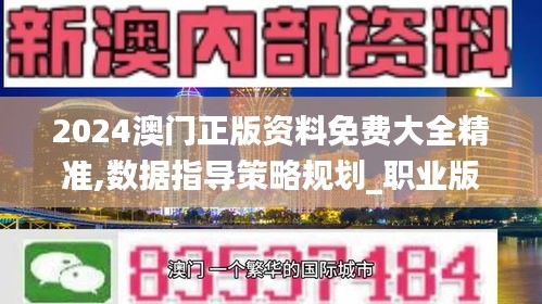 2024澳門(mén)正版資料免費(fèi)大全精準(zhǔn),數(shù)據(jù)指導(dǎo)策略規(guī)劃_職業(yè)版RQC48.767