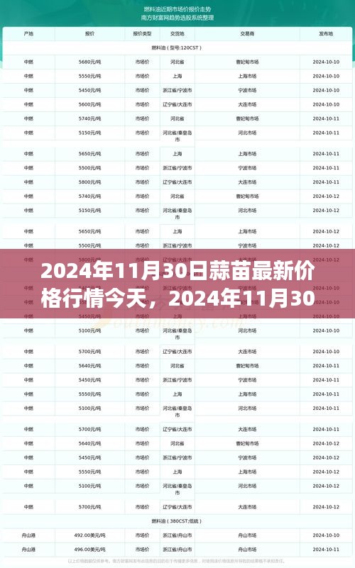蒜苗最新價(jià)格行情與尋找內(nèi)心寧靜的自然美景之旅
