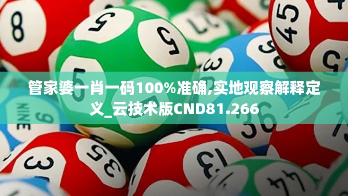 管家婆一肖一碼100%準(zhǔn)確,實地觀察解釋定義_云技術(shù)版CND81.266