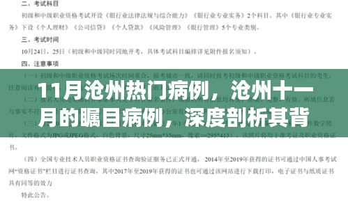 滄州十一月矚目病例深度解析，背景、進(jìn)展與影響探究