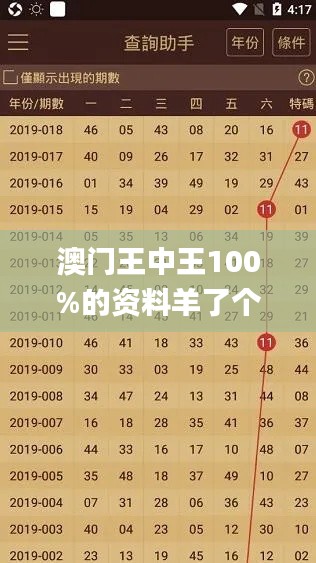 澳門(mén)王中王100%的資料羊了個(gè)羊,即時(shí)解答解析分析_響應(yīng)版JXQ17.238