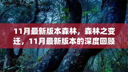 11月最新版本森林的變遷，深度回顧與影響