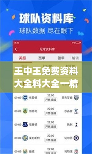 王中王免費(fèi)資料大全料大全一精準(zhǔn),快速實(shí)施解答研究_VR版HNC74.409